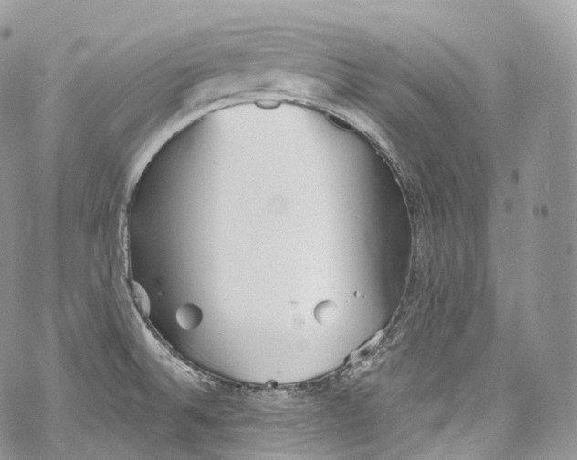 X0000069361524200606021440