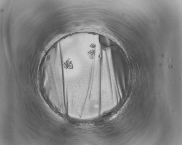 X0000069361525200606021440