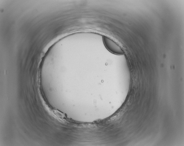 X0000069361526200606021440