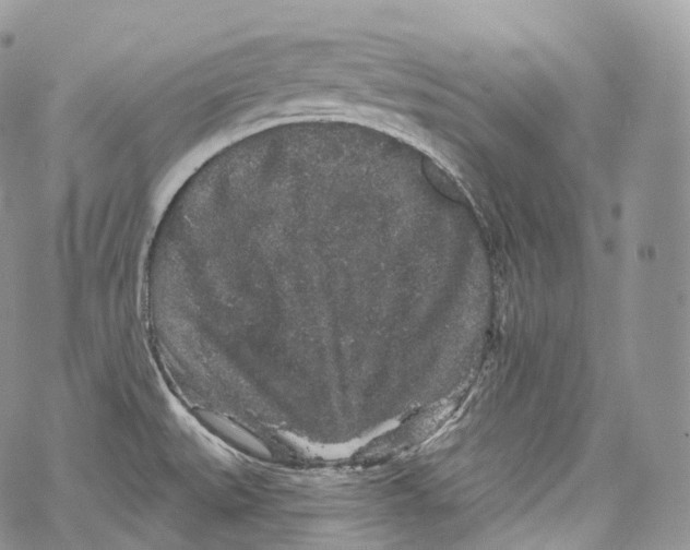 X0000069361527200606021440