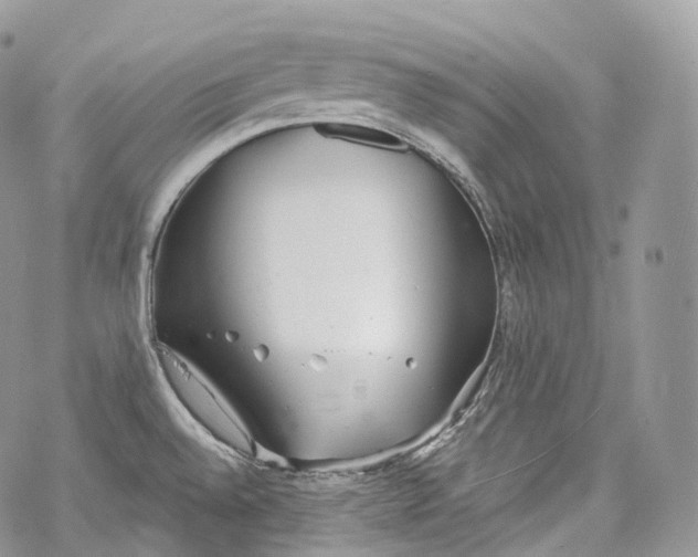 X0000069361528200606021440