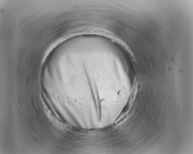 X0000069361530200606021440