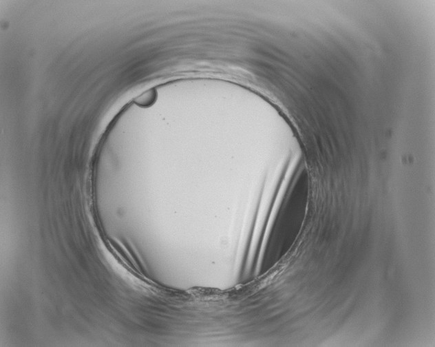 X0000069361531200606021440