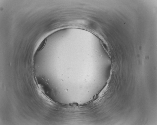 X0000069361532200606021440