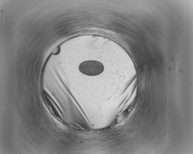 X0000069361533200606021440