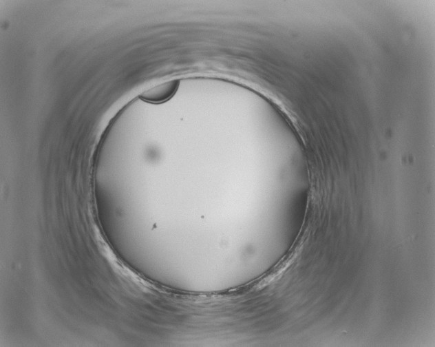 X0000069361534200606021440