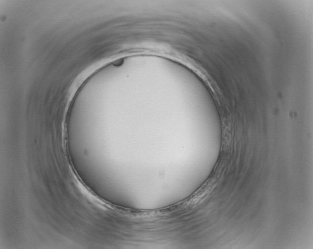 X0000069361535200606021440