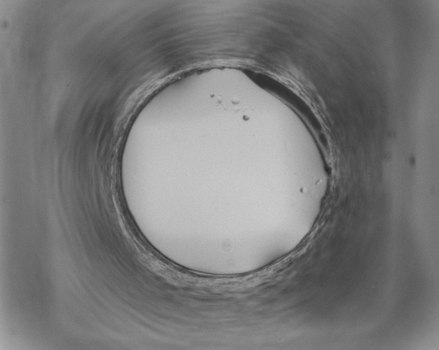 X0000069360001200606091613