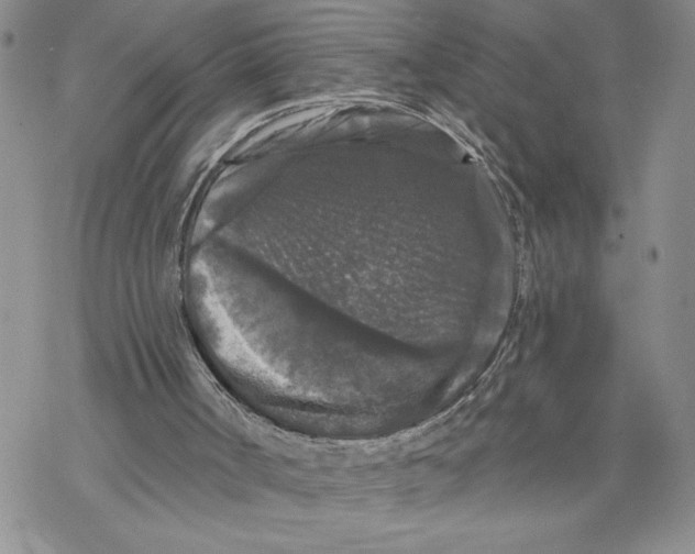 X0000069360002200606091613