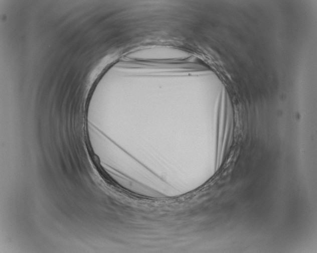 X0000069360003200606091613