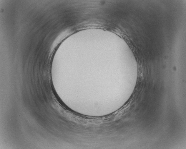 X0000069360004200606091613