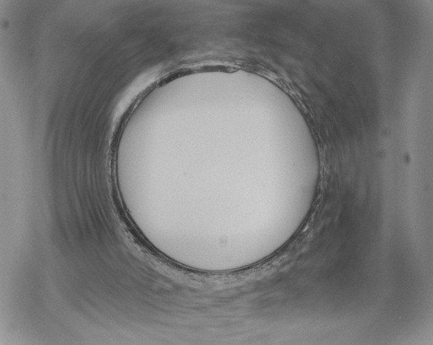 X0000069360006200606091612