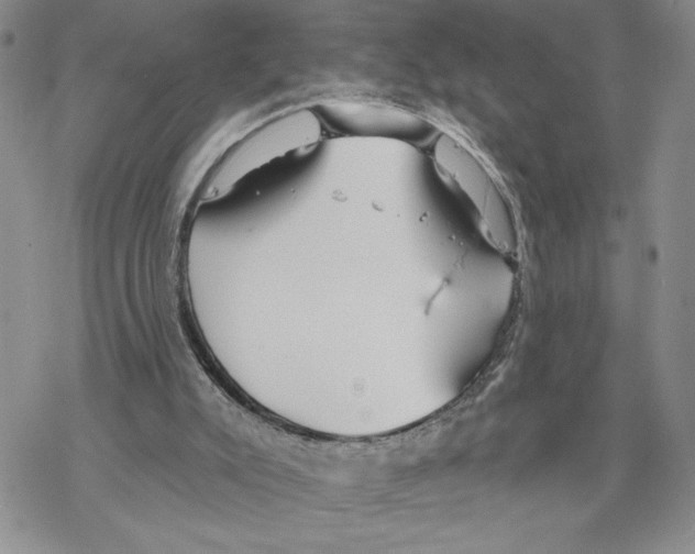 X0000069360007200606091612