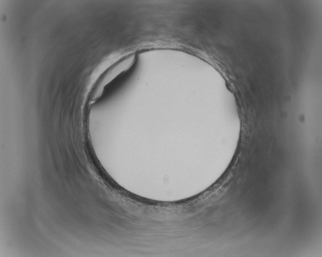 X0000069360008200606091612