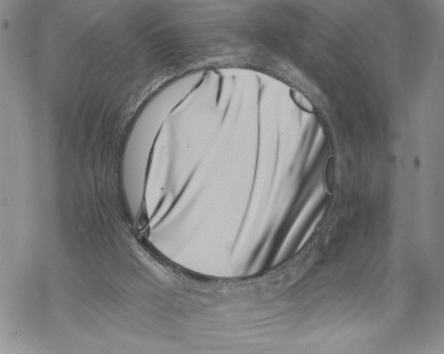 X0000069360009200606091612