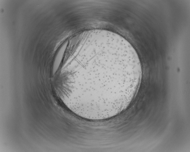 X0000069360010200606091612