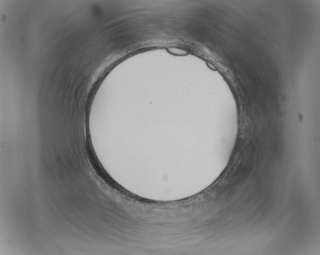 X0000069360011200606091612