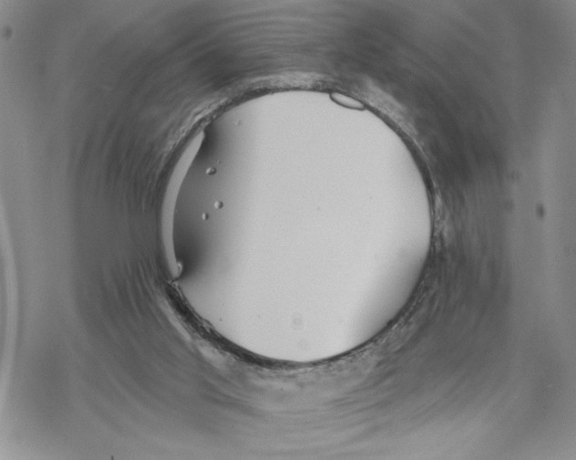 X0000069360013200606091612