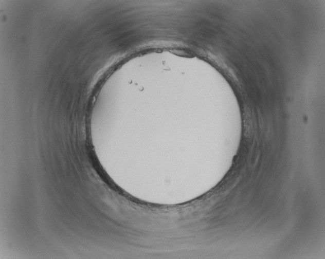 X0000069360015200606091612