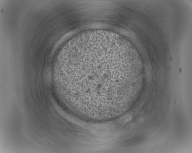 X0000069360016200606091612