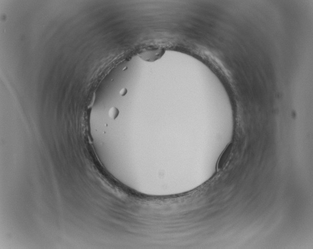 X0000069360017200606091612