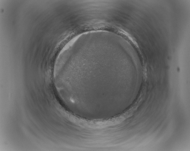 X0000069360018200606091612