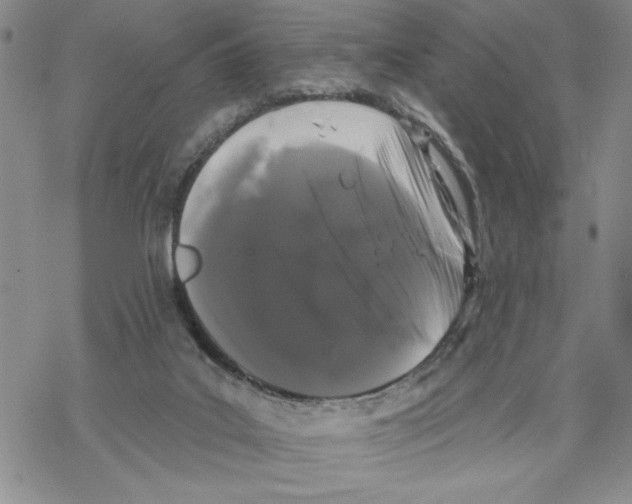 X0000069360019200606091612