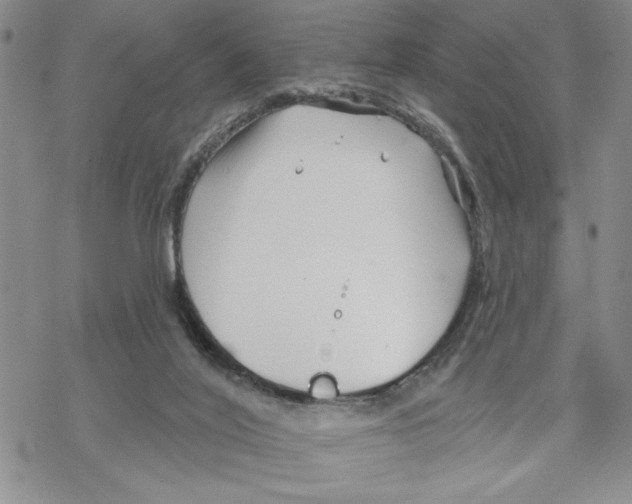 X0000069360020200606091612