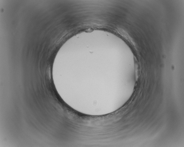 X0000069360021200606091612