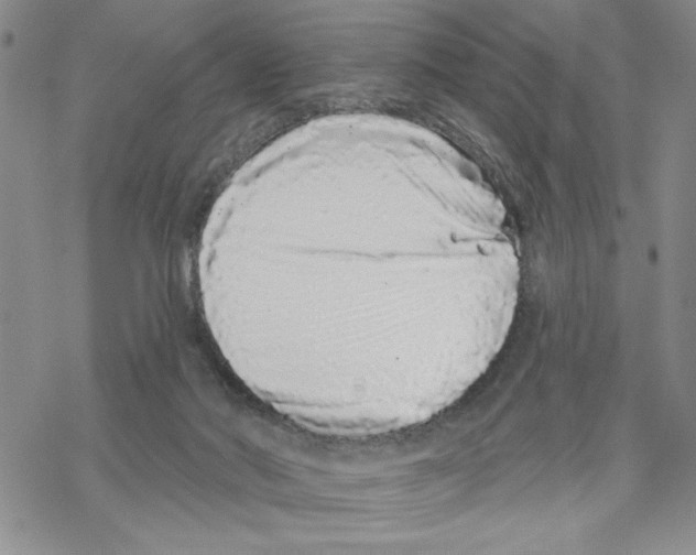 X0000069360022200606091612