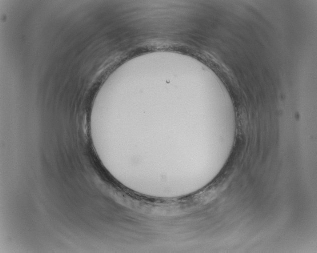 X0000069360024200606091612