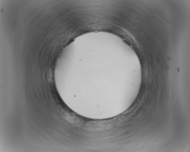 X0000069360025200606091612