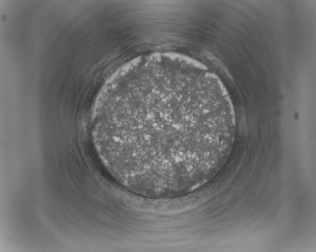 X0000069360026200606091612