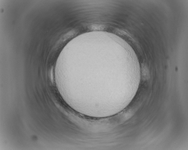 X0000069360028200606091612