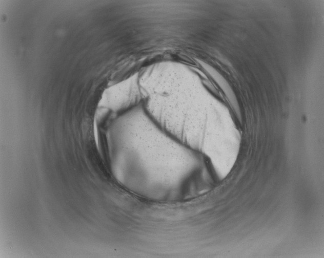 X0000069360029200606091612