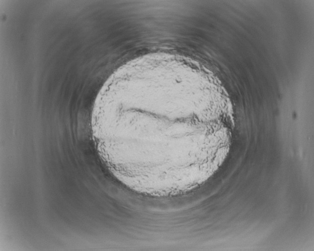 X0000069360030200606091612