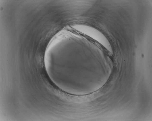 X0000069360031200606091612