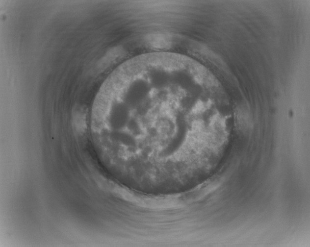 X0000069360032200606091612