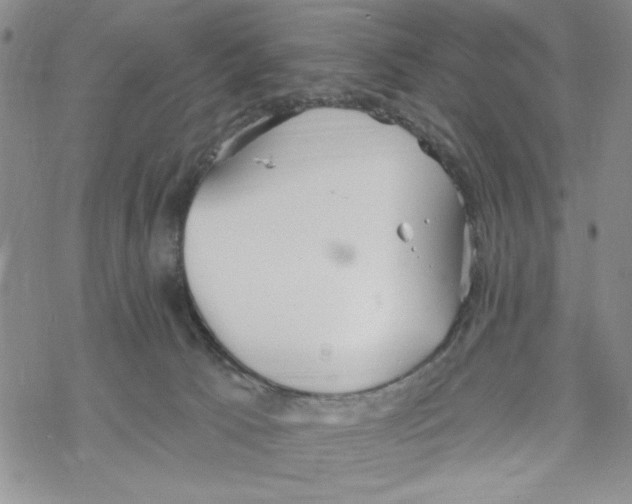 X0000069360033200606091612