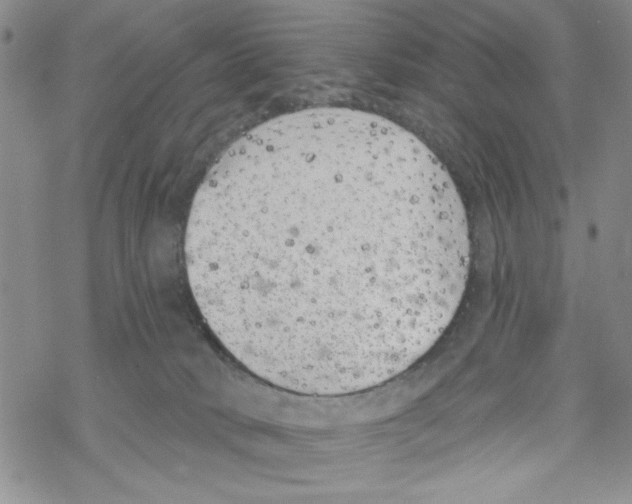 X0000069360034200606091612