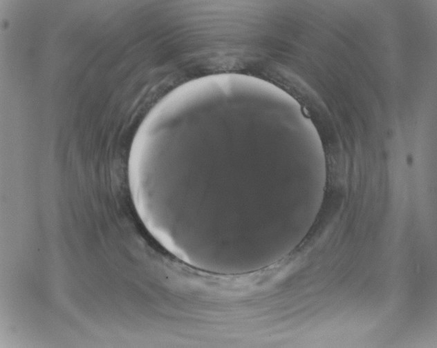 X0000069360035200606091612