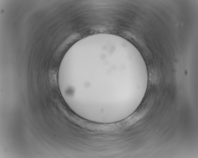 X0000069360036200606091612