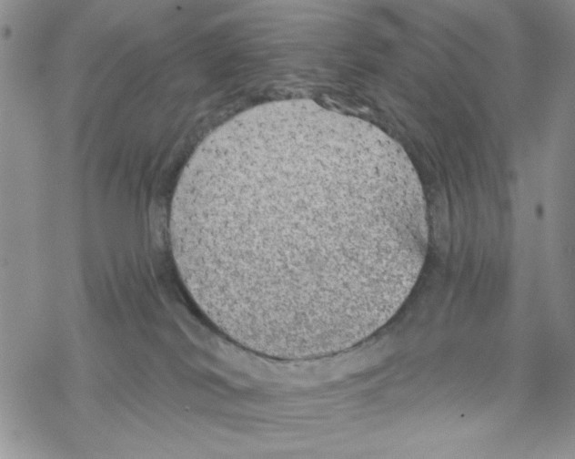 X0000069360038200606091612