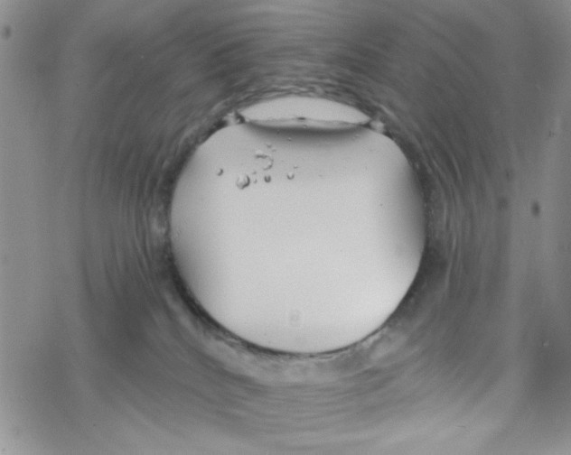 X0000069360040200606091612