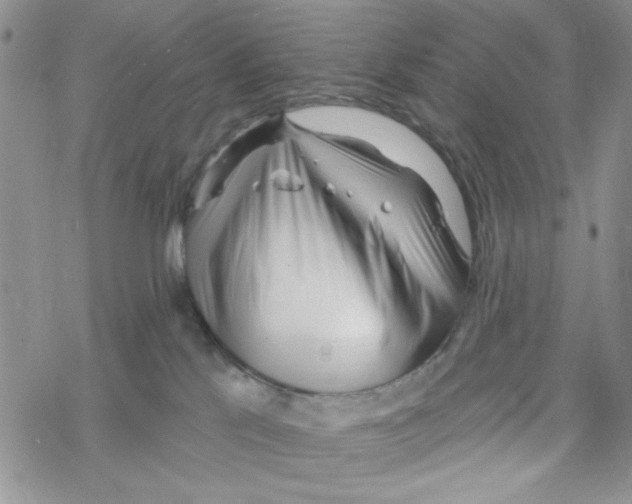 X0000069360041200606091612