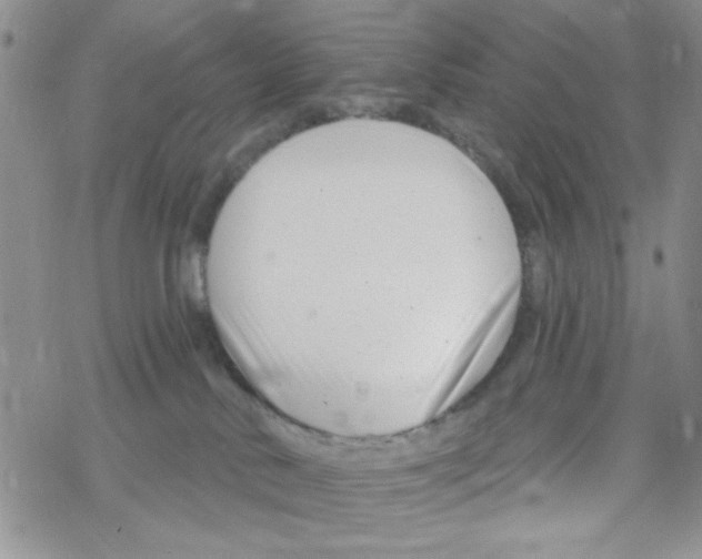 X0000069360042200606091612