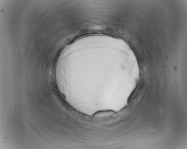 X0000069360043200606091612