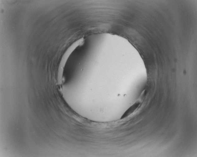 X0000069360045200606091612