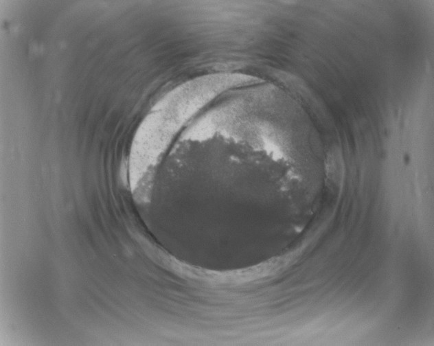 X0000069360046200606091612