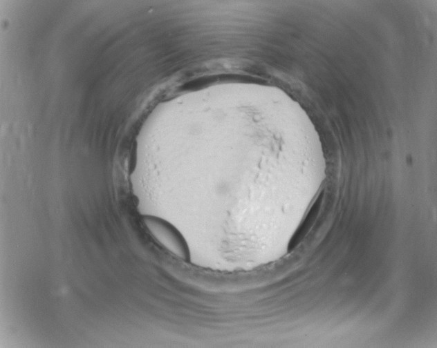 X0000069360047200606091612